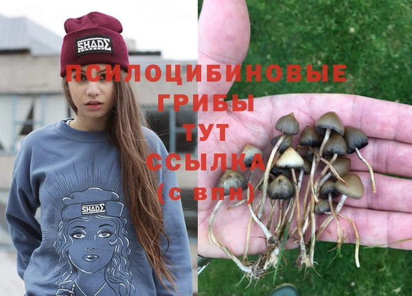молекула духа Алексеевка