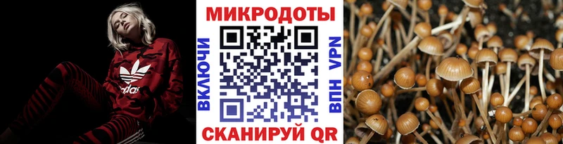 Галлюциногенные грибы прущие грибы  Элиста 