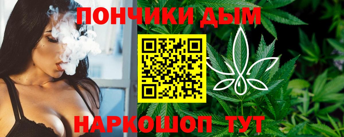 Шишки марихуана планчик  Шишки марихуана планчик  Вход с VPN  Конопля OG Kush  Элиста 