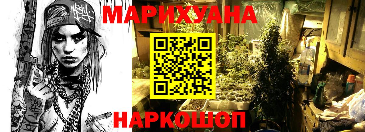 Конопля индика Элиста